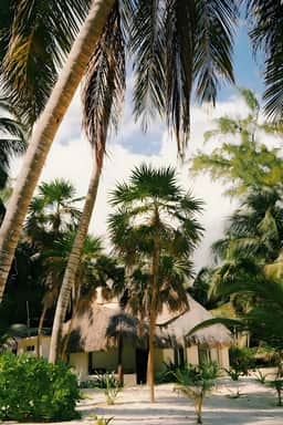 Caribbean Sea View Room | Delfín