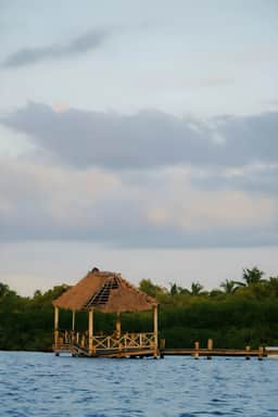 Caribbean Sea View Room | Delfín