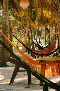 Glamping Overlooking the Caribbean Sea | Orquídea