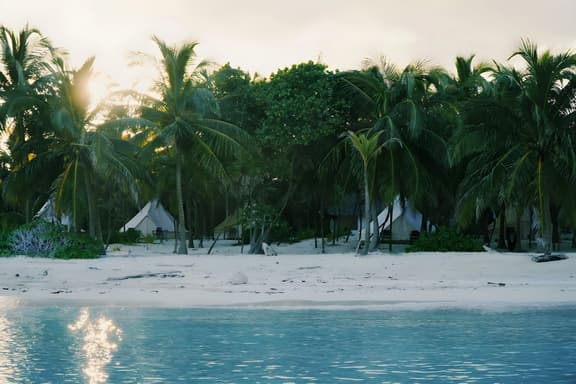Caribbean Sea View Room | Delfín